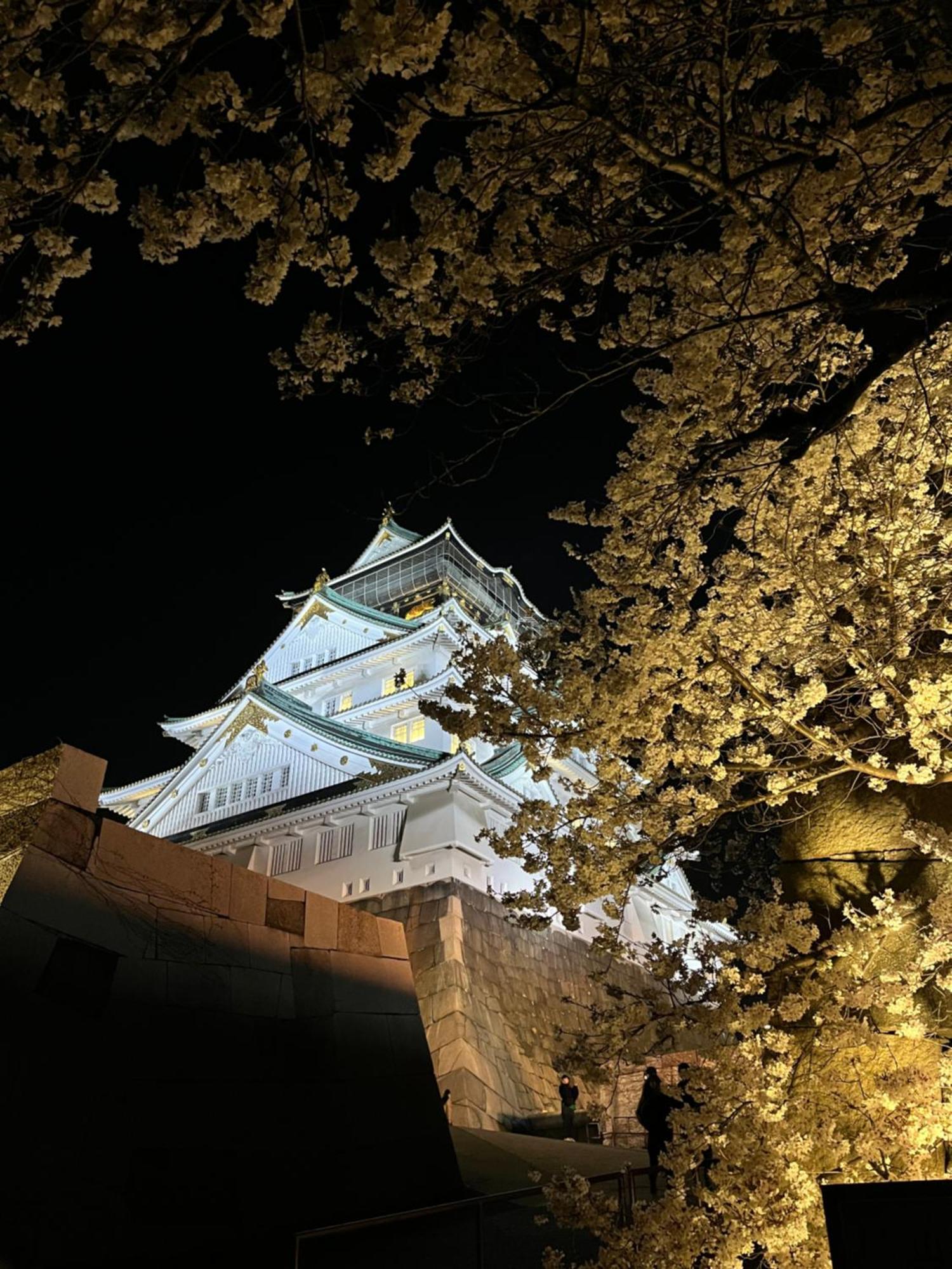 Guesthouse Atelier Ten 民泊アトリエ天 Osaka Exterior foto